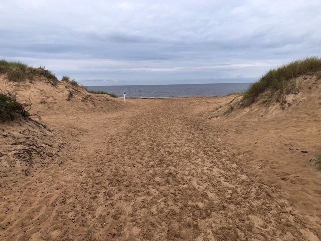 Stranden ligger nära campingen. 